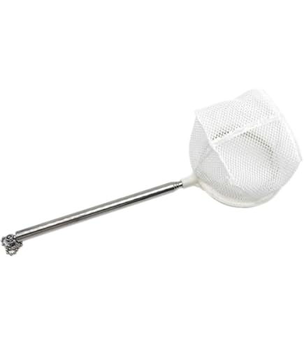 Filet Pour Crevettes D'Aquarium 8 Cm Mini-Filet De Pêche Avec Poignée