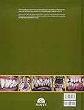 Image de Visual atlas of oral pathologies in dogs