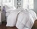 Philly Linens All Season Down Alternative Comforter Luxury Hotel Collection Duvet Insert with Corner Tab,Warm Fluffy,Hypoallergenic,Plush Siliconized Fiberfill,Queen Comforter White