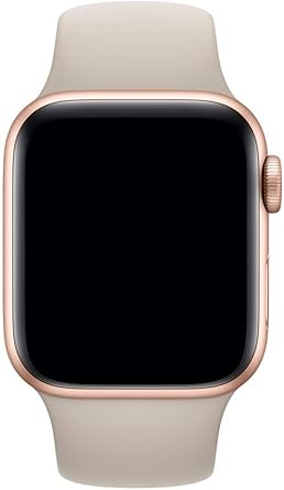 apple watch 4 stone
