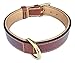 Soft Touch Collars Brown XL Leather Padded Dog Collar, 28