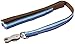 Coastal Pet K9 Explorer Reflective Dog Leash with Scissor Snap - Durable Nylon Dog Leash - Leashes for Dogs & Puppies Pet Supplies for Dogs - Sapphire, 1