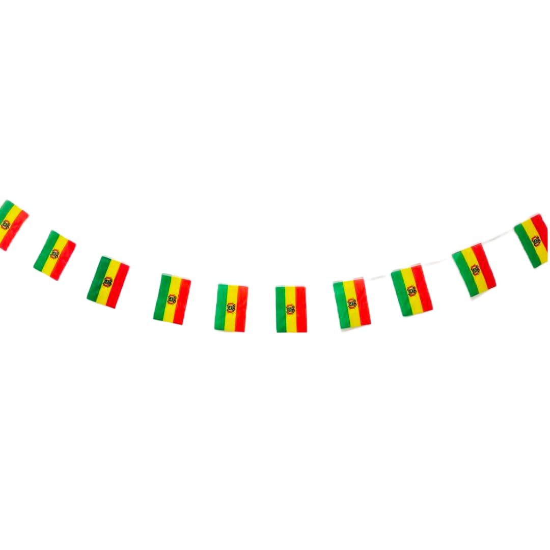 Bolivia Flag 40 Units Bolivia Flag Bunting Bolivia 11.4 m Bolivia Flag National Flag 14 x 21 cm for Garden Bar Decorations (Bolivia)