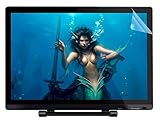 Ugee 21.5 Inch Graphic Drawing Monitor Screen Protector for Huion/UGEE