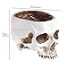 Skull planter , Resin Skull Head Flower Succulent Cactus Planter Pots , Small Object Containers Keys Sugar Candy Bowl, for Home Office Desk Decorations,Halloween Scene Statue Sculpture (White)