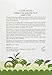 Etude house Bubble Tea Sleeping Pack Green Tea 100g