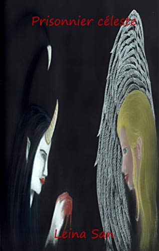 prisonnier céleste (French Edition) by Leina San