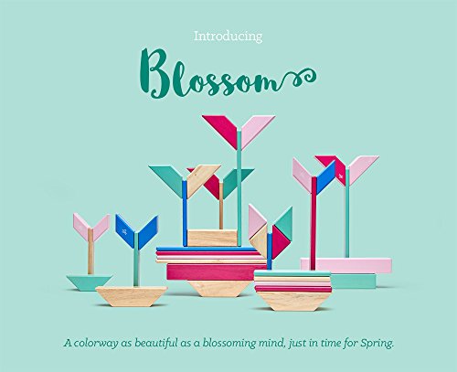 42 Piece Tegu Magnetic Wooden Block Set, Blossom