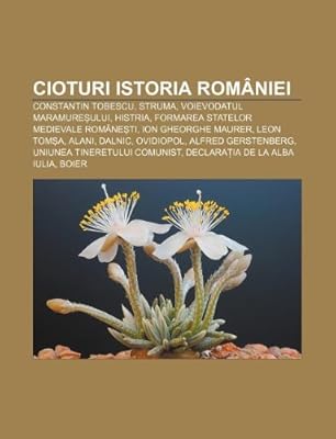 Cioturi Istoria Romaniei Constantin Tobescu Struma Voievodatul MaramureÈului Histria Formarea Statelor Medievale RomaneÈti Surs Wikipedia 9781232147961 Amazon Com Au Books