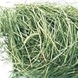 oxboy timothy hay 50lb