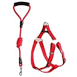 Dog Collars Harnesses an Leashes Set , Petlucky 2 IN 1 No-Pulling Adjustable Pet Harness Lead for Large dogs (L)