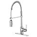 Enzo Rodi ERF7209251AP-10 Modern Commercial Kitchen Faucet With Pull-Down Sprayer,Stainless Steel