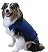 SurgiSnuggly Dog Diapers Male OR Dog Diapers Female Bodysuit Can Use for Female Dog Heat Cycle and It's Comfier Than Dog Suspenders from The Inventors of The Original Bodysuit for Pet's M Blue