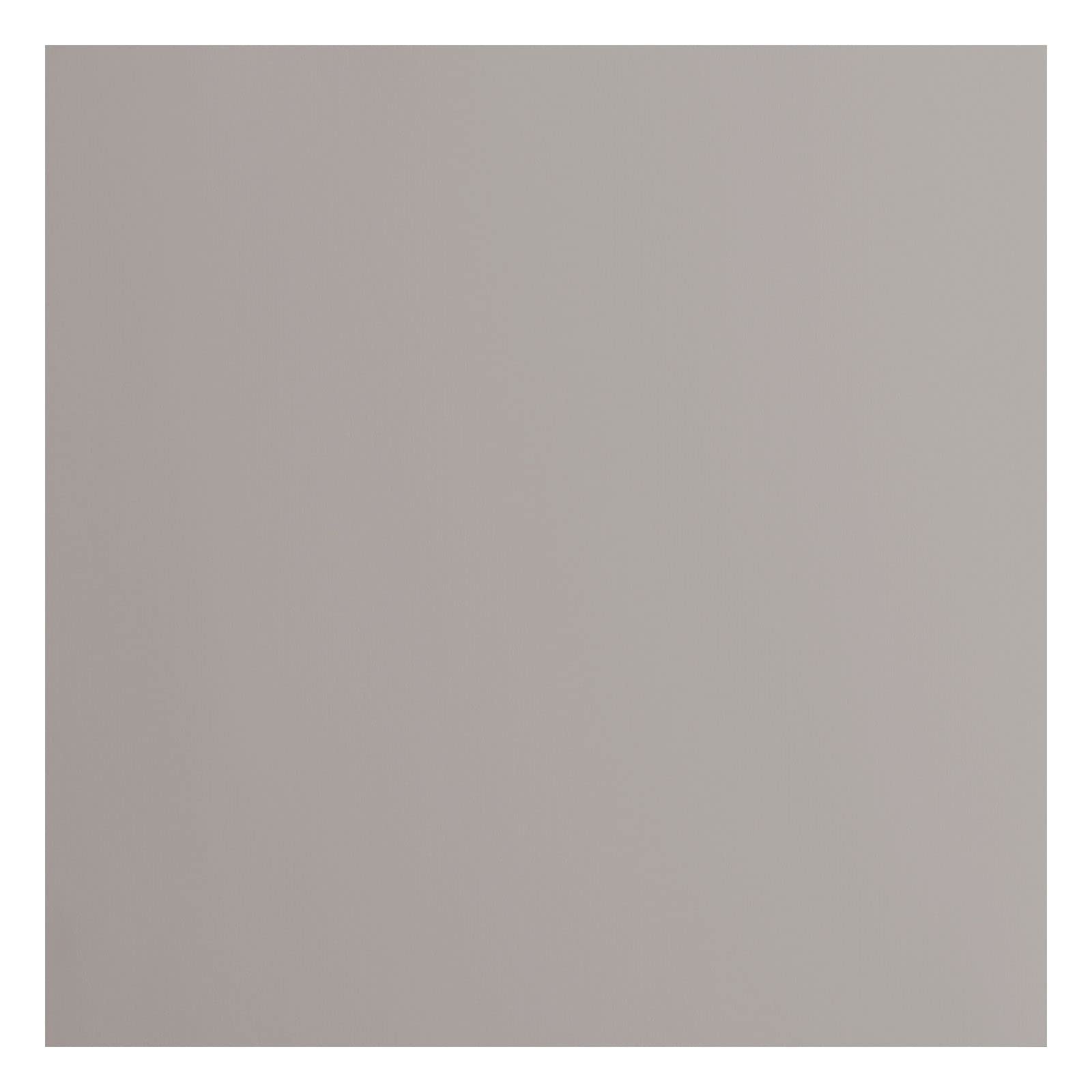 Florence Cardstock Smooth - Coloured Card Making Supplies 12 x 12 inch - Grey - 20 Sheets - Coloured Paper for Scrapbooking, Card Making, Die Cutting and Paper Crafts - 216 GSM - Tin