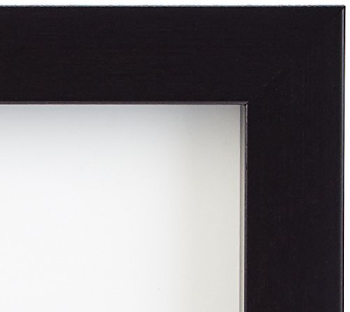 4 AmazonBasics+Photo+Frame+Black+2+Pack