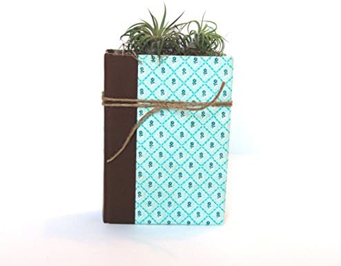 Unique Air Plant Planter with 2 Tillandsia Plants, Handmade from Vintage Books