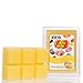 MVP Group International Jelly Belly (8 Pack) Scented Wax Melts Wax Cubes Jelly Belly Jelly Beans Candy Bulk Soy Wax Air Freshener