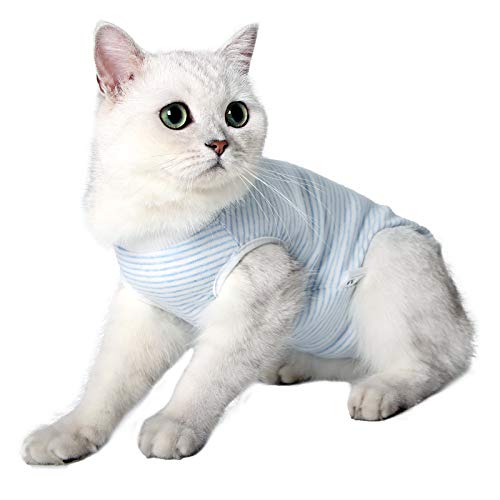 oUUoNNo Cat Wound Surgery Recovery Suit for Abdominal Wounds or Skin Diseases, After Surgery