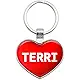 Graphics and More Metal Keychain Key Chain Ring I Love Heart Names Female T Tarr - Teresa