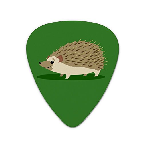 Hedgehog on Green Novelty Guitar Picks Medium Gauge - Set of 6