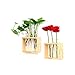 Ivolador Plant Propagation Station Terrariumin Wall Test Tube Vases Bud Tabletop Glass Wooden Stand with 5 Propagation Tubes for Propagating Hydroponic Plants Home Garden Wedding Decoration-Beige