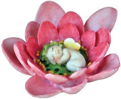Miniature Fairy Garden Water Lily Baby