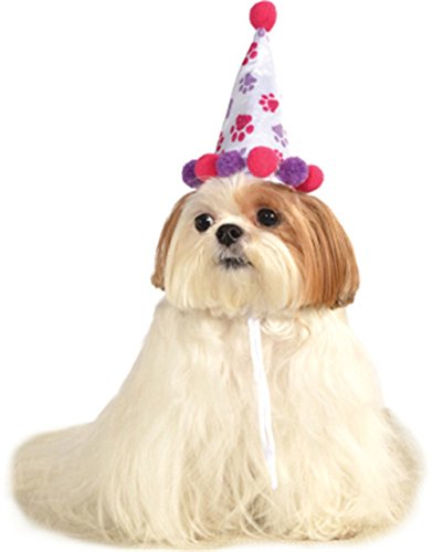Pink Purple Birthday Girl Paw Prints Clown Hat For Pet Dog
