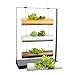 SOMMERLAND Vertical Garden Planting Cylinder Display System for Succulent Cactus and Small Plants, Metal Base