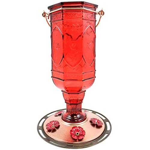 Amazon Com More Birds Red Jewel Hummingbird Feeder Glass Bottle