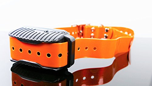 AETERTEK AT-919C 2-DOG 1100 YARD ULTRA RANGE REMOTE TRAINING SHOCK COLLAR WITH AUTO ANTI-BARK,RECHARGEABLE AND WATERPROOF