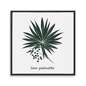 Framed Canvas Wall Art for Living Room, Bedroom Nordic Style Plants Theme Canvas Prints for Home Decoration Ready to Hang - 16x16 inches