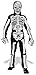 Skeleton Costume, Small