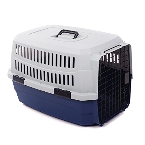 3 Best Airline Approved Dog Crates (For When Fido Flies)