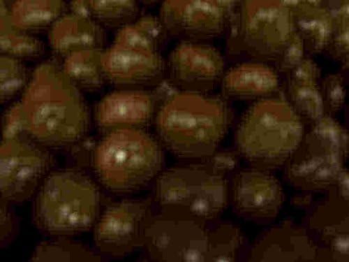 Sugar Free Chocolate Covered Malt Balls (No Sugar Added), (Chocolate Is Sugar-free, Malt Ball Center Contains Sugar) 8 Oz. Bag by Candy Zone