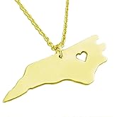 Art Attack Stainless Steel I Love North Carolina Tarheel Old North State Heart Map Pendant Necklace (Gold)