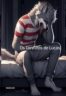 Livro Os Conflitos De Lucas