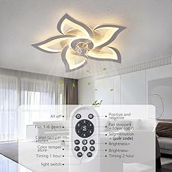 Dalouguan Flush Mount Ceiling Fan with