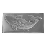 Plastic Mold Extra Large Fish Koi Plastic Mold steam desserts jello desserts craft projects