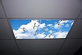 Birds Skypanels - Replacement Fluorescent Light Diffuser