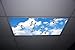 Birds Skypanels - Replacement Fluorescent Light Diffuser