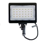 Duralec 50W Mini Flood Light , 50 Watt Waterproof