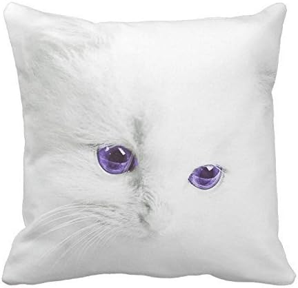 Whity dedetiu White Kitten with Purple Eyes Decorative Pillow Case Cover Animals Zippered Square Two Sides for Sofa 16x16 Inch