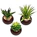 MyGift Succulents Plants Artificial, Fake Faux Indoor House Plants in Round Brown Ceramic Pots, Set of 3