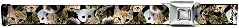 Kitten Faces Scattered Seatbelt Belt