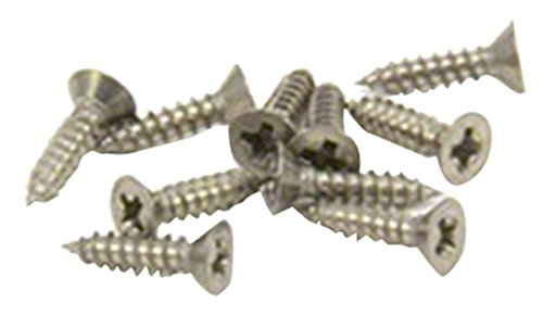 Stainless Steel Screws for Crafts, DIY, Construction, and Countersunk Magnets - 6mm dia head x 2.9mm dia thread x 13mm long - Pack of 50