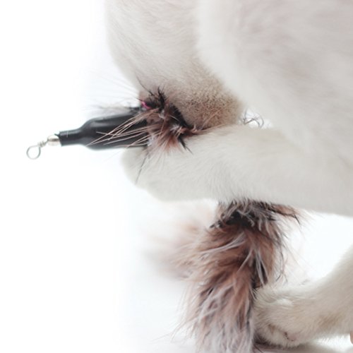 UEETEK 5 Pcs Replacement Refill Feather Catcher for Interactive Cat and Kitten Toy Wands