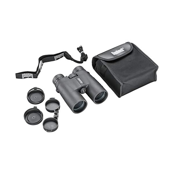 Bushnell - Allzweck - 10x42 - Schwarz - Dachkantprisma - Fernglas - Vogelbeobachtung - Sightseeing - Reisen - Wildtiere… – Bild 6