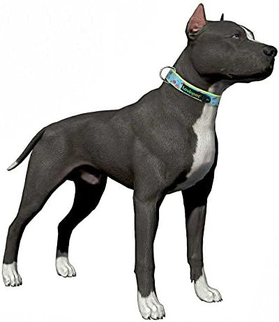LovinPet 8 Patterns Soft &amp; Comfy Colorful Fruit Prints Padded Dog Collar, Large, Neck 17"-26", Adjustable Collars For Dog