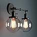 Phansthy 2 Light Industrial Glass Wall Sconce, Bathroom Wall Light with On Off Switch and Swing Arm, 5.9