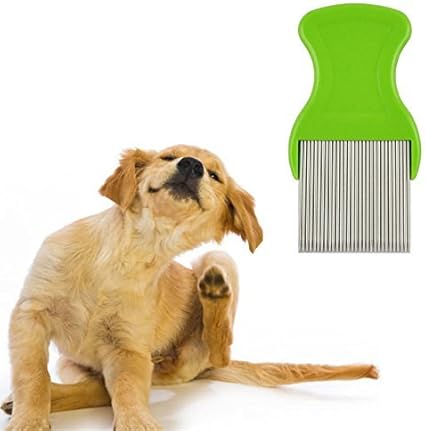Amazon Com Ayutthaya Shop Useful Hair Lice Pets Flea Egg Dirt